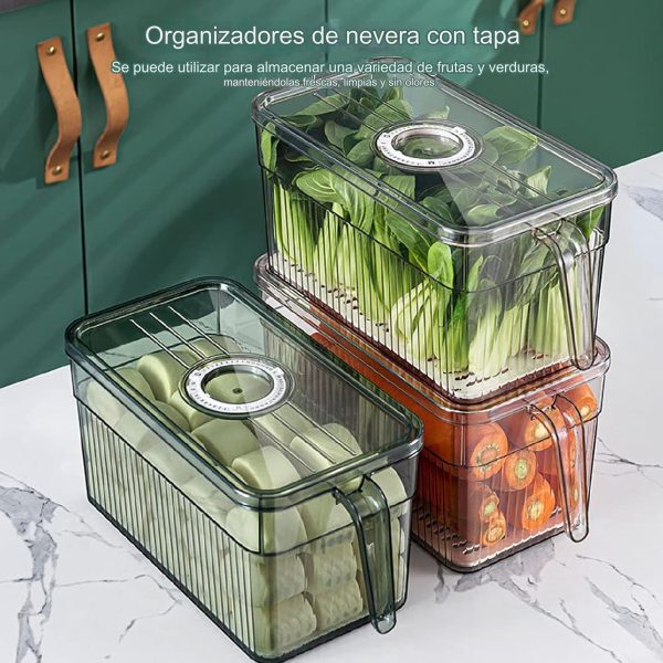 Caja Plastico Almacenamiento Alimentos Frescos 30x15x15 Cm - Imagen 4