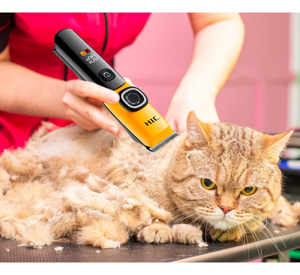 Cortapelo Para Mascotas Htc At-767 Recargable Perros Y Gatos - Imagen 6