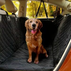 Cubre Asiento Auto Funda Impermeable Perros Mascota 2 Plazas